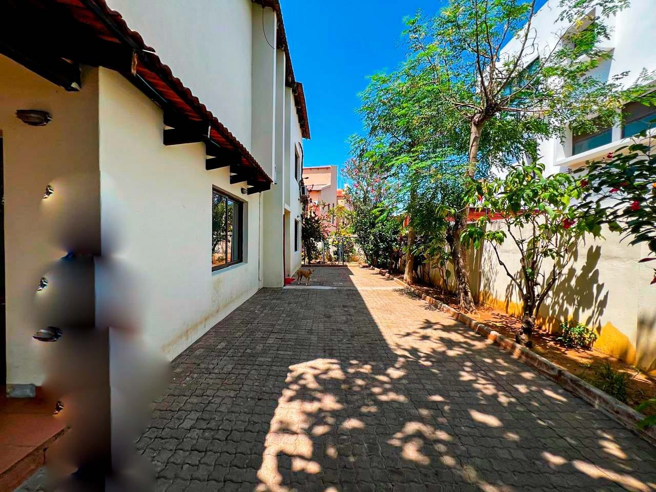 WhatsApp Image 2025-09-27 at 16.37.10